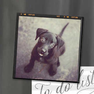 Imã Oferta personalizada de fotos