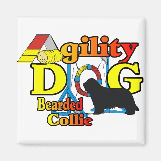 Imã Ofertas de Agilidade Collie (Frente)