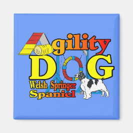 Imã Ofertas de agilidade de galês Springer Spaniel