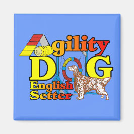 Imã Ofertas de agilidade para setter inglês