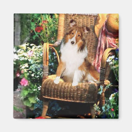 Imã Ofertas de arte Shetland Sheepdog