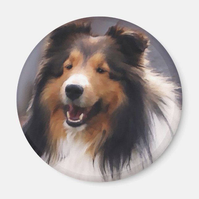 Imã Ofertas de arte Shetland Sheepdog (Frente)