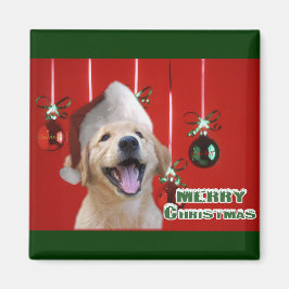 Imã Ofertas de Cartões de Natal para Retriever de ouro