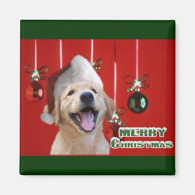 Imã Ofertas de Cartões de Natal para Retriever de ouro (Frente)