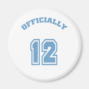 Imã Oficialmente 12