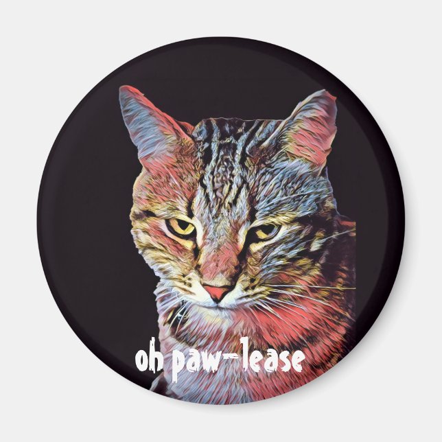 Imã Oh, Lixeira do Gato (Frente)