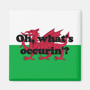 Imã "Oh, que é occurin"? '