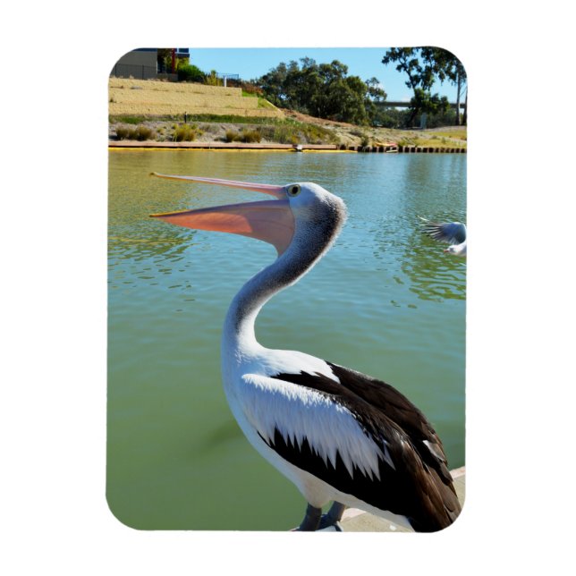 Ímã Oh, Sou Um Feliz Pelicano Tra Lah, Magnet (Vertical)