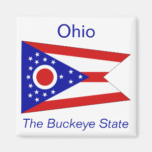 Imã Ohio Flag Magnet