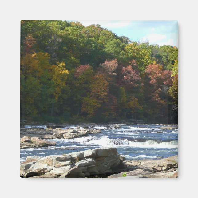 Imã Ohiopyle River Rapids in Fall Pennsylvania Autumn (Frente)