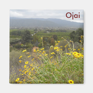 Imã Ojai Valley, Califórnia
