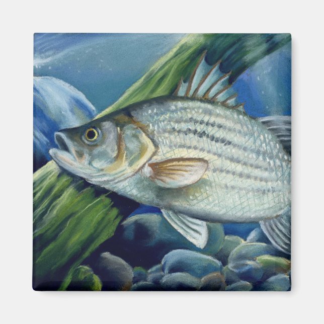 Imã OK 2008 Bowles 1036 alto (Frente)