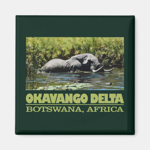 Imã Okavango Delta