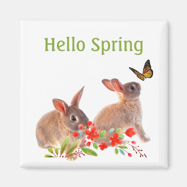Imã Olá Coelho da Primavera e Borboleta (Frente)