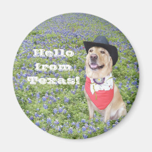 Imã Olá do Texas!