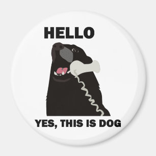 Imã OLÁ SIM ESTE É O telefone do CACHORRO