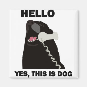 Imã OLÁ! SIM ESTE É telefone do telefone do CÃO