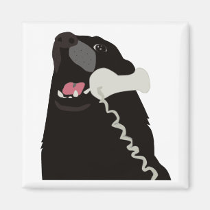 Imã OLÁ! SIM ESTE É telefone do telefone do CÃO