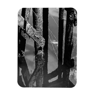 Ímã Old Wharf Pier Barnacle Beams Pilings Photo