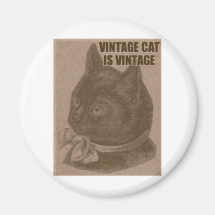 Imã Olde LOLcat