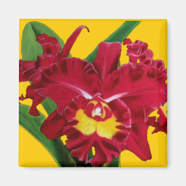 Imã Óleo de Orquídea em Magnetos de Canvas (Frente)