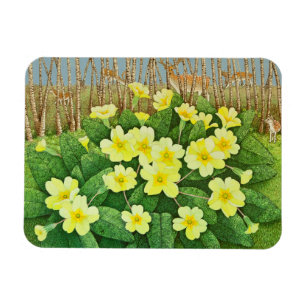 Ímã Olhando 2011 esperançoso