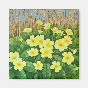 Imã Olhando 2011 esperançoso