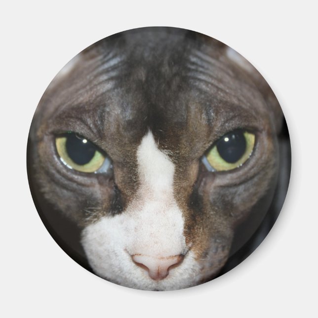 Imã Olhando para você (Frente)