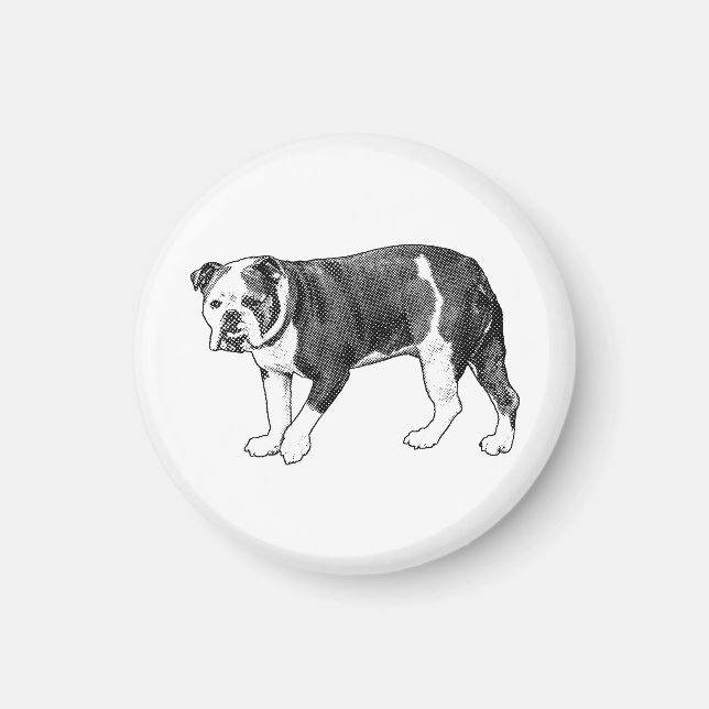 Imã Olhar de Bulldog, Ímã de Pontos de Mangá (Frente)