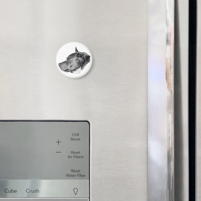 Imã olhar de companheiro leal (In Situ (Fridge))
