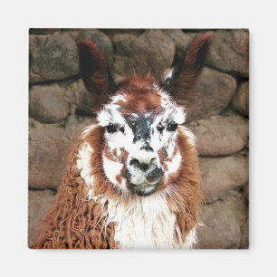 Imã olhar de lama