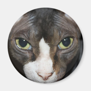 Imã Olhar fixamente em você