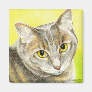 Imã Olhar o ímã do amor