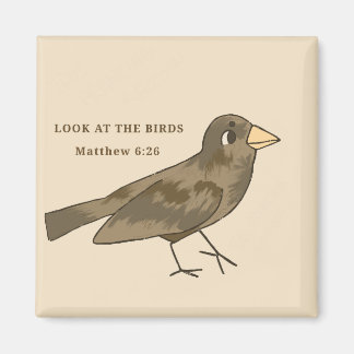 Imã Olhe o ímã dos pássaros