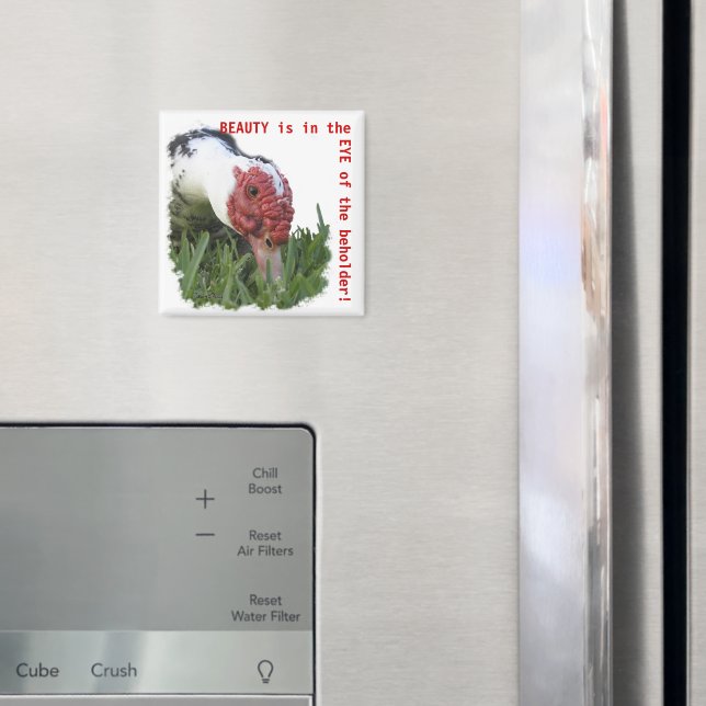 Imã Olho da Fotografia de Fechamento do Pato (In Situ (Fridge))
