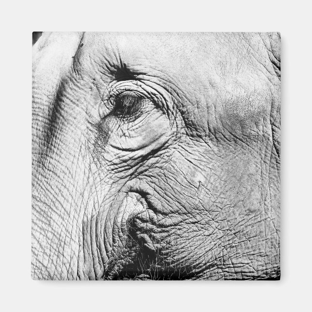 Imã Olho de Elefantes, 2017 (Frente)
