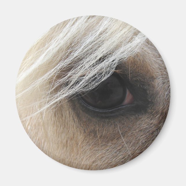 Imã Olho de Palomino Horse (Frente)