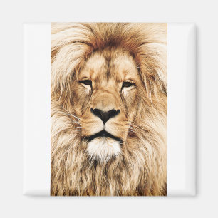 Imã Olho Detalhado do Leão Africano de Lion Animal