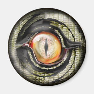 Imã olho do dragão