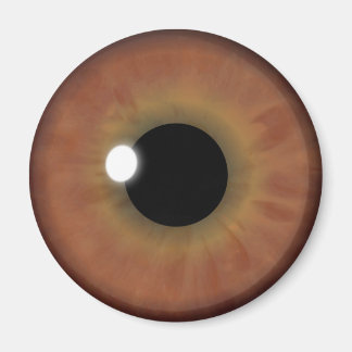 Imã Olhos Castanhos Iris Eyeball Legal Magntos Arredon