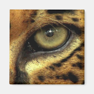Imã OLHOS DE JAGUAR Grande Gato Selvagem