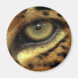 Imã OLHOS DE JAGUAR Round Magnet
