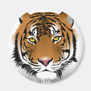 Imã Olhos de Tigre