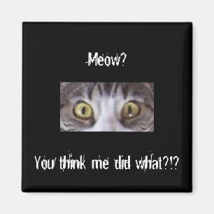 Imã Olhos largos do gato de gato malhado