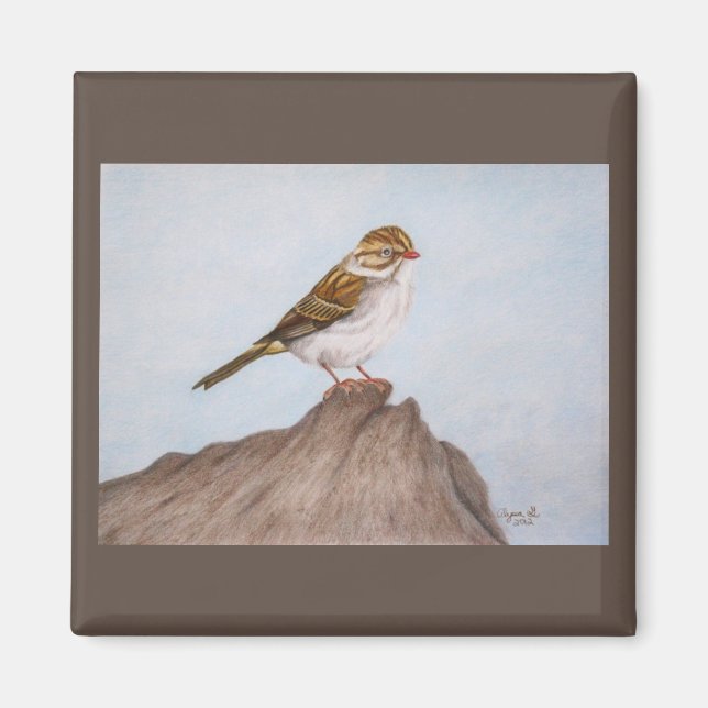 Imã Olhos no Magnete Sparrow (Frente)