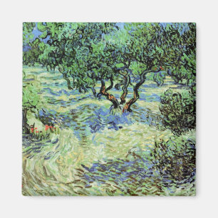 Imã Olive Grove de Vincent van Gogh