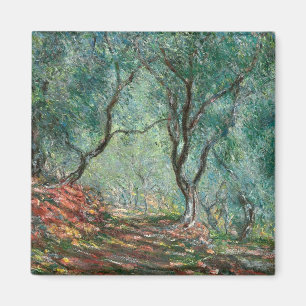 Imã Olive Tree Wood no Jardim Moreno (por Monet)