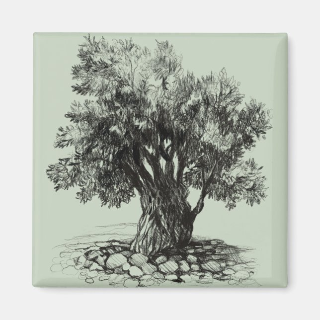 Imã Oliveira antiga (Frente)