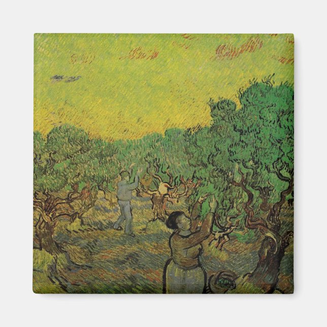 Imã Oliveira com Figuras Colhendo, Vincent van Gogh (Frente)