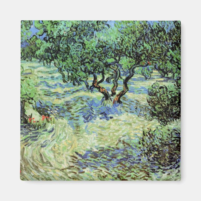 Imã Oliveiral por Vincent van Gogh (Frente)